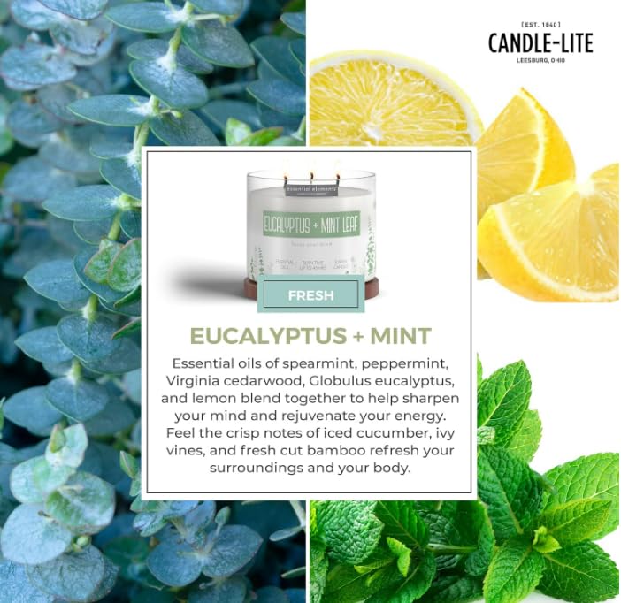 CANDLE-LITE Essential Elements by Candle-lite Scented Candles, Eucalyptus & Mint Leaf Fragrance, One 14.75 oz. Three-Wick Aromatherapy Candle with 45 Hours of Burn Time, Off-White Color - Image 5